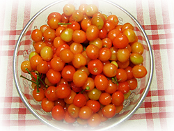 DSCF7383.jpg