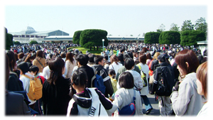 DSCF6546.jpg