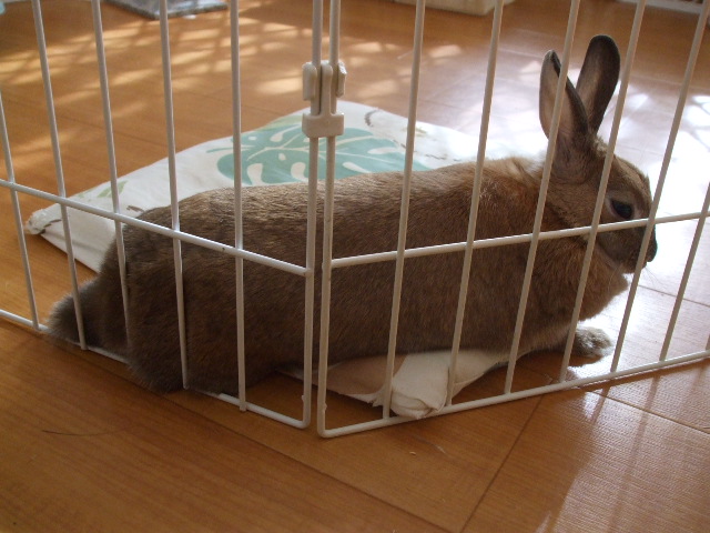 dscf0737.jpg