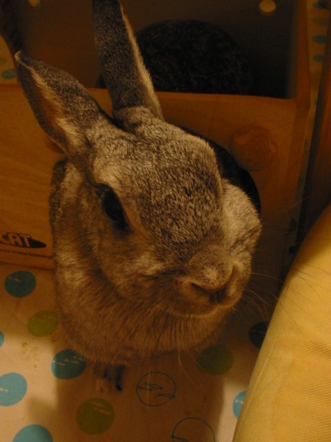 papy20060719.jpg