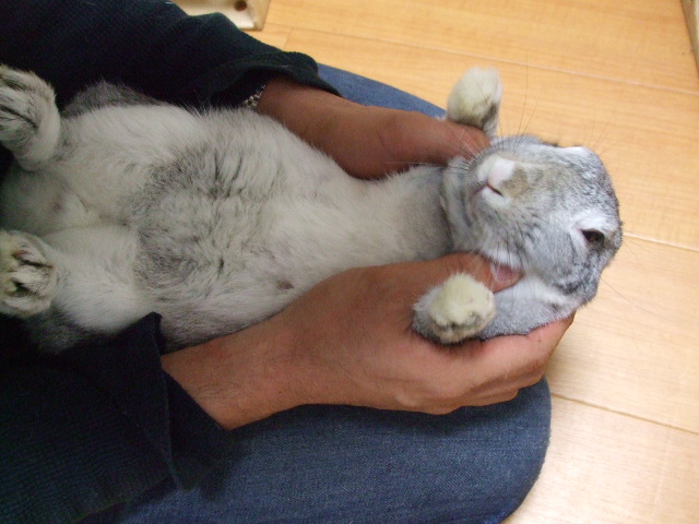 dscf0293.jpg