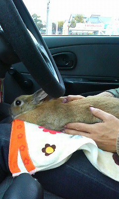 img20081129.jpg