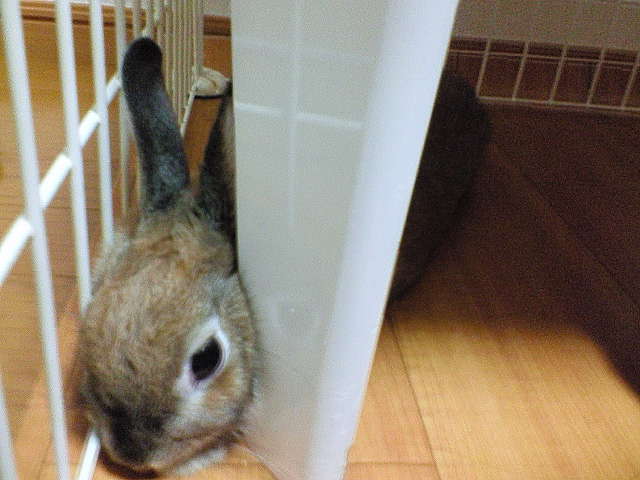 200708052122000.jpg