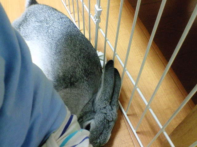 200706142046000.jpg