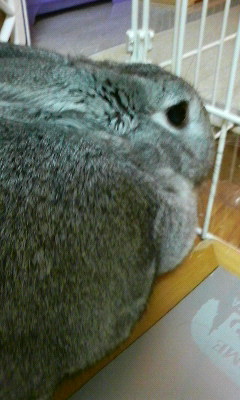 img20081129_3.jpg