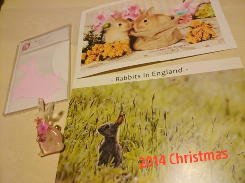 2014-12-25-21-42-09_deco