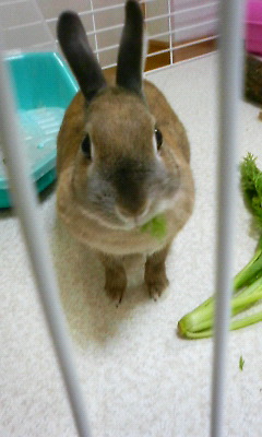 200805212027000.jpg