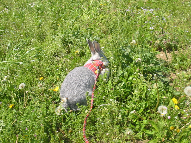img_0364.jpg