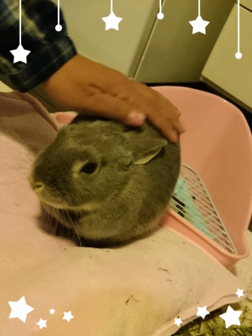LINEcamera_share_2014-12-25-21-44-48