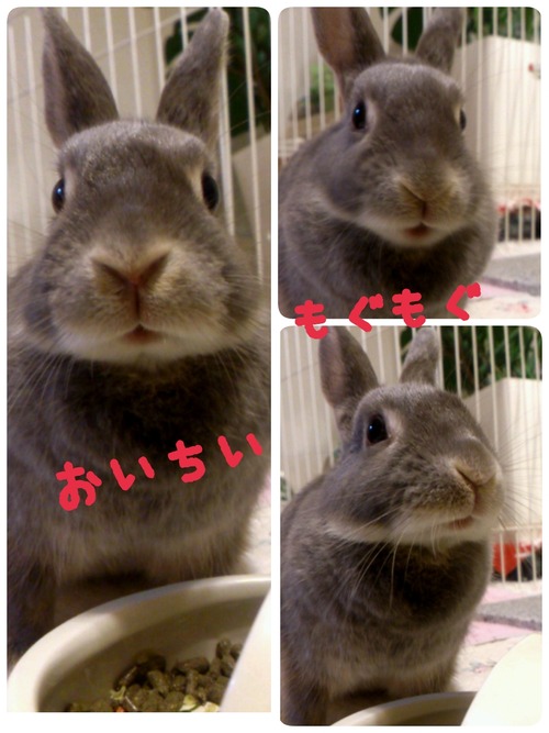 2014-08-24-16-15-03_deco