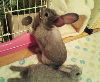 200611222317000.jpg