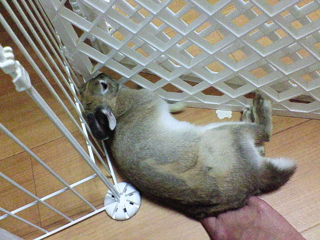 200706172107000.jpg