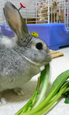 200805212027001.jpg
