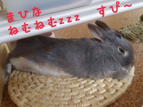 2014-07-16-11-48-11_deco