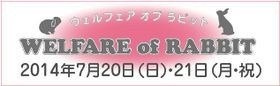 welfareofrabbit