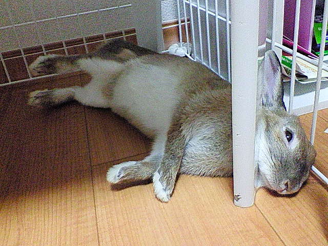 200708122249000.jpg