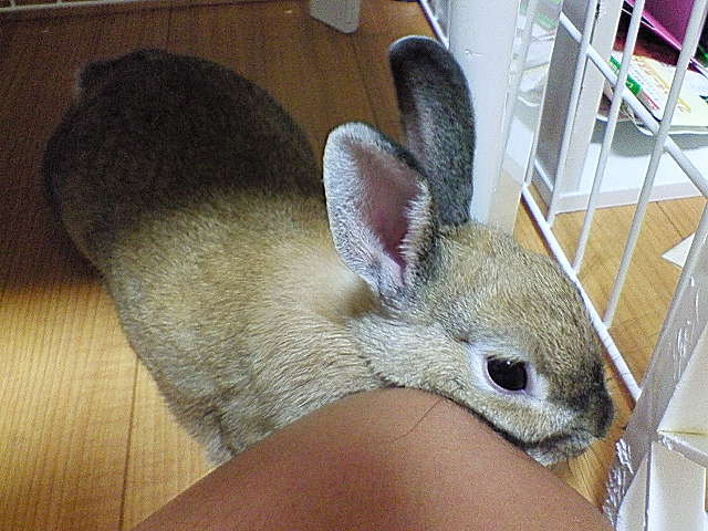 nec_0669.jpg
