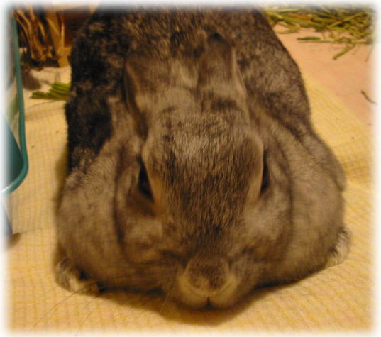 200312.jpg