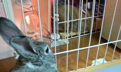 img20081129_2.jpg