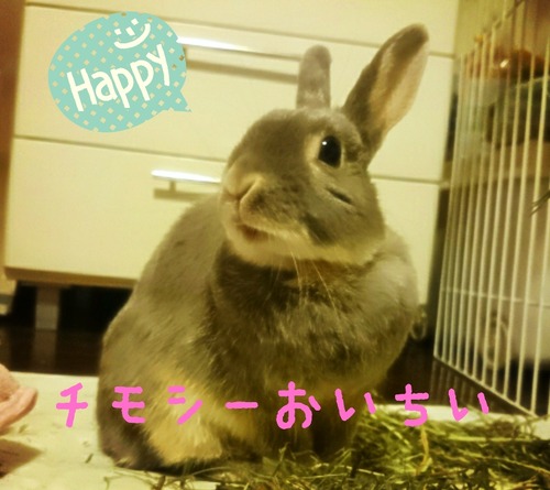 LINEcamera_share_2015-04-18-21-29-55