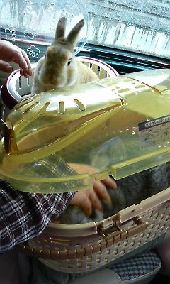 p1000048.jpg