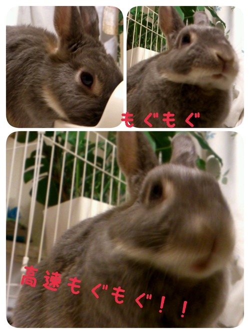 2014-08-26-01-14-18_deco