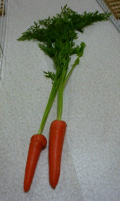 200805212028000.jpg