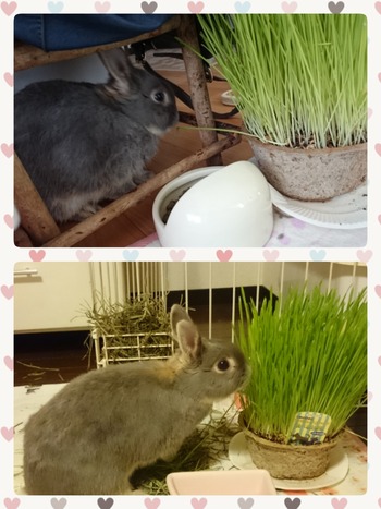 LINEcamera_share_2015-07-11-22-12-17