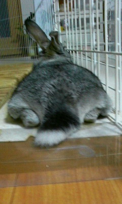 200806152141000.jpg