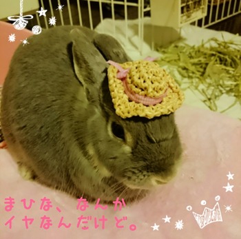 2015-09-19-21-40-09_deco