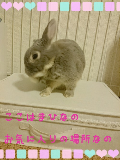 LINEcamera_share_2015-04-18-21-19-21