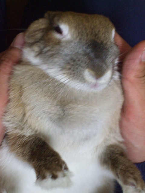 dscf0210.jpg