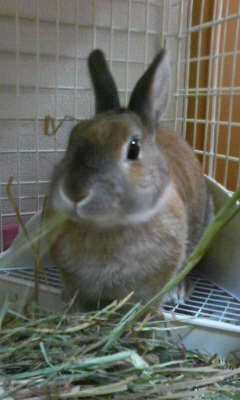 p1000408.jpg