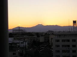 P1010003.jpg