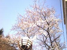 20080325083339.jpg