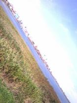 20080927110442.jpg