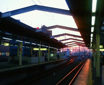 nec_0339.jpg