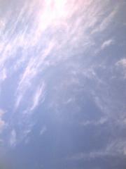 20070802175149.jpg