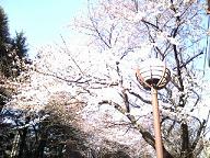 20070328080441.jpg