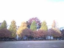 20071126081232.jpg