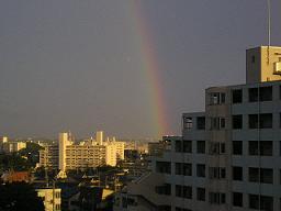 P1010013.jpg