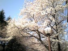 20080328083536.jpg