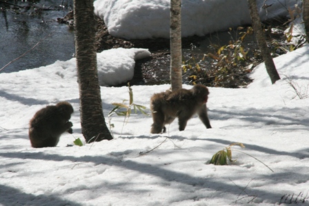 img_4567.jpg