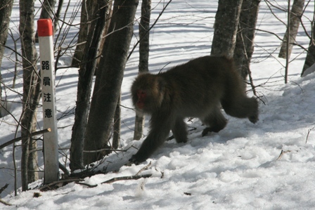 img_4600.jpg