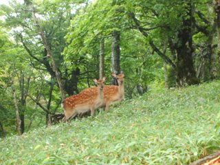 dscf6323.jpg