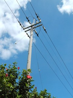 dscf5925.jpg