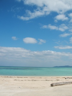 dscf5931.jpg