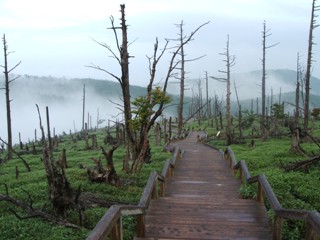 dscf6334.jpg