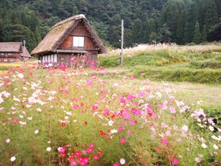 dscf4054.jpg