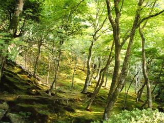 dscf6764.jpg